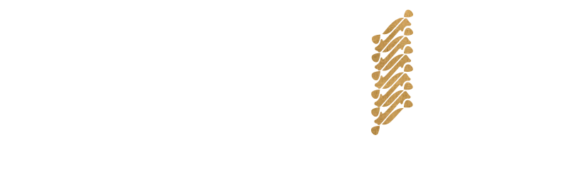 Batik Concept Logo